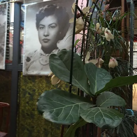 Vietnamonamour לינה וארוחת בוקר 2*